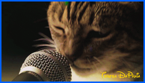 gatocantando1.gif