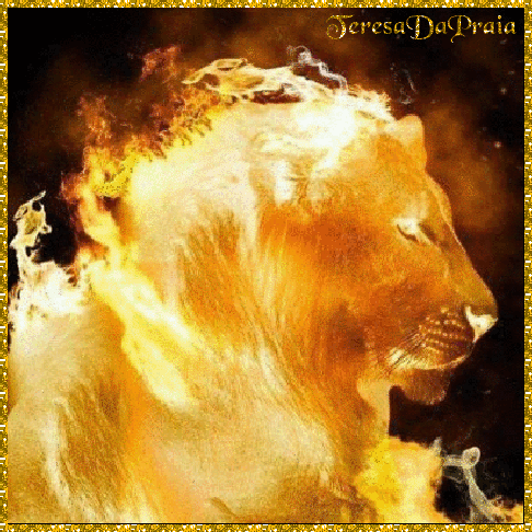 leao.gif