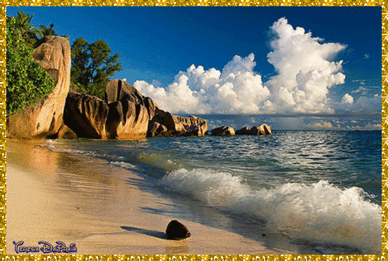 praia3.gif