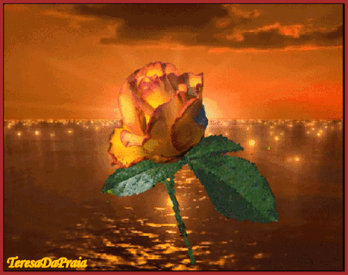 rosamarela.gif