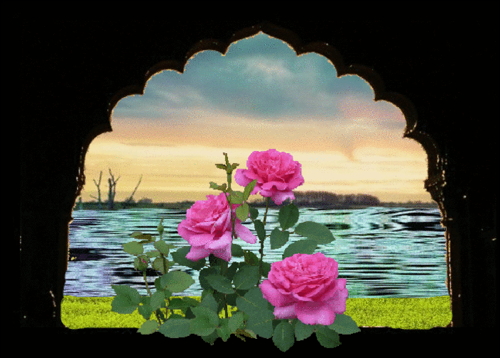 rosas_no_lago.gif