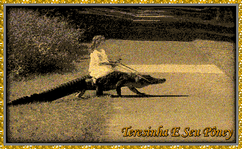 teresinha.gif